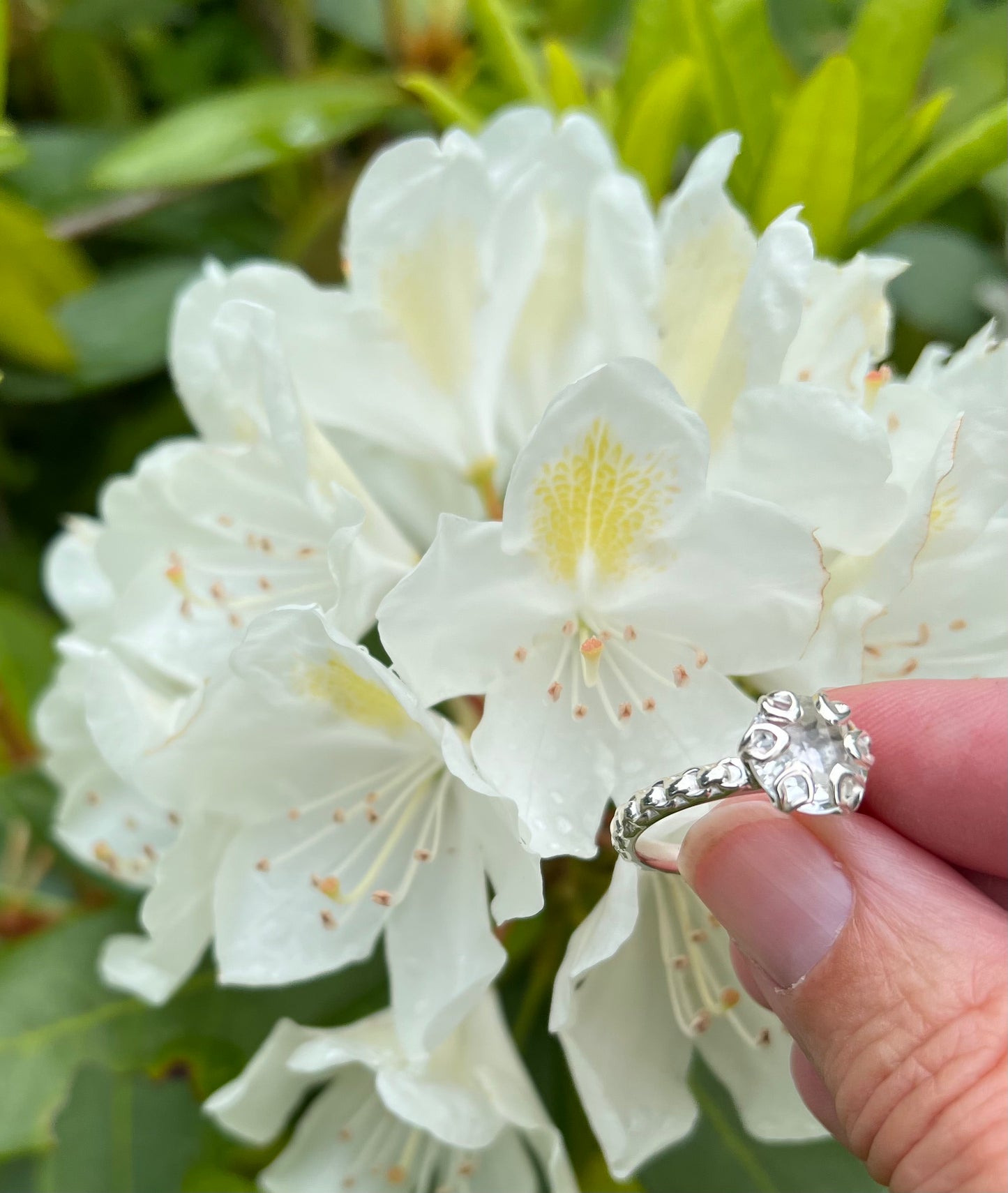 holding Hannah Daye Poppy Ring with White Rhodadendrum