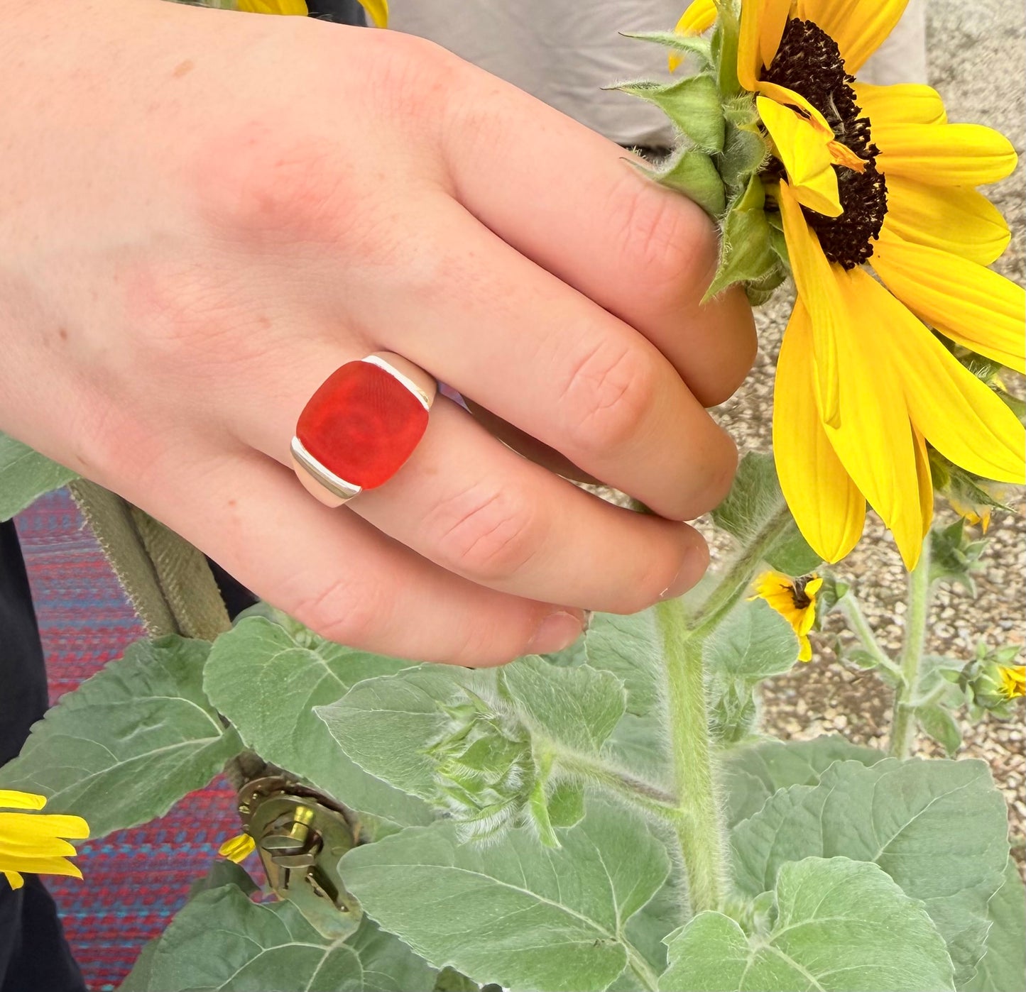 Hand wearing red carnelian ring holding a sunflower