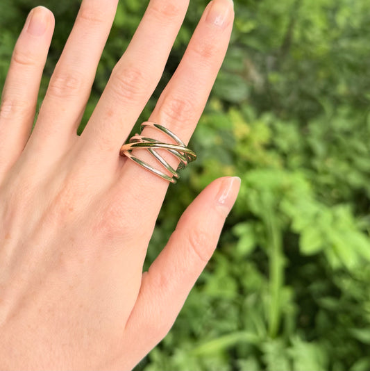 Hand wearing a silver and gold ring with a green blurred background