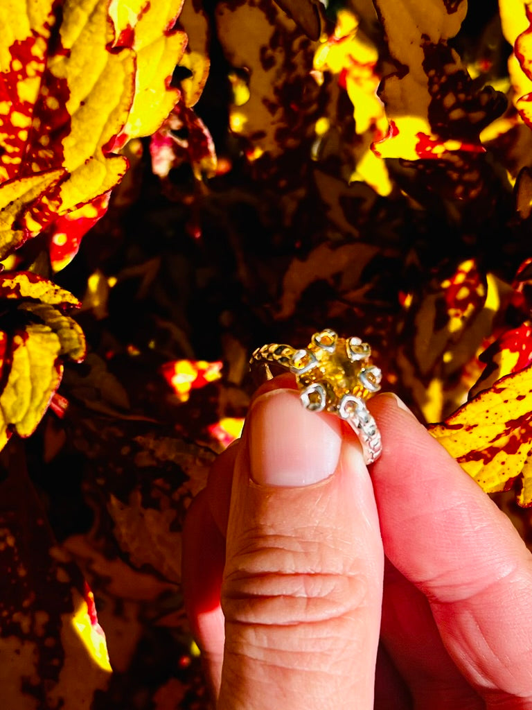 Holding the Poppy Ring in Citrine and sterling silver by Hannah Daye fine jewelry