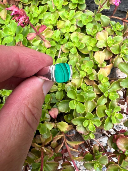 Malachite Milan Piccolo Ring by Hannah Daye & Co with Sedum