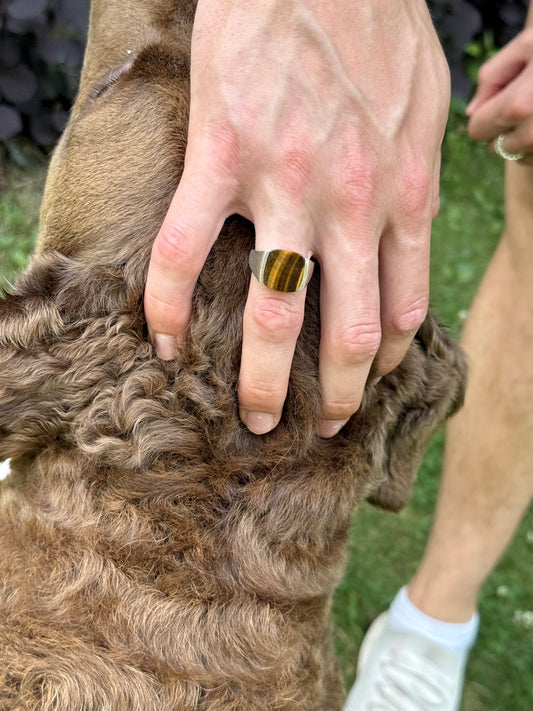 wearing Milan Ring Tiger Eye Sterling Silver by Hannah Daye mens jewelry