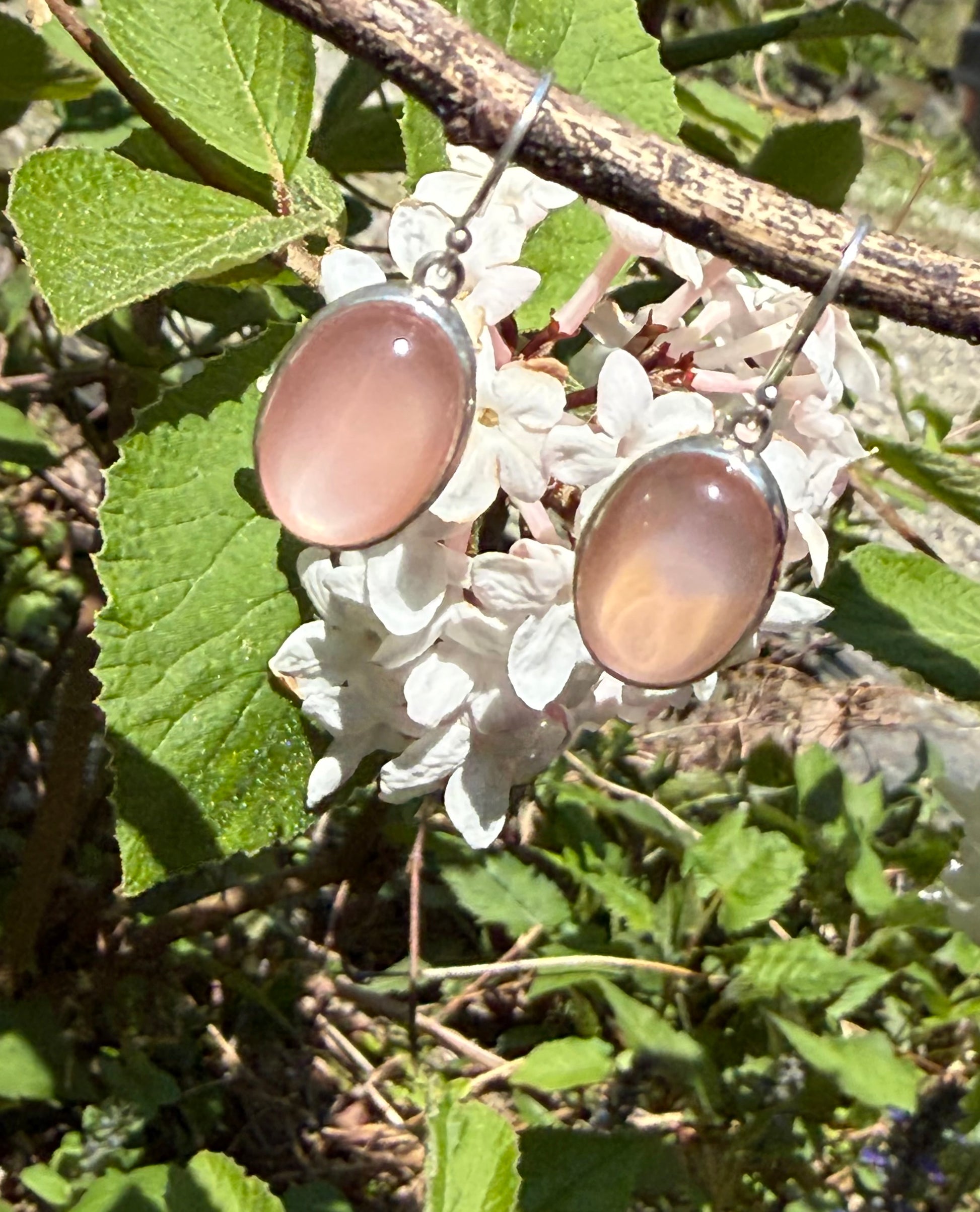 Rose Quartz drop earrings