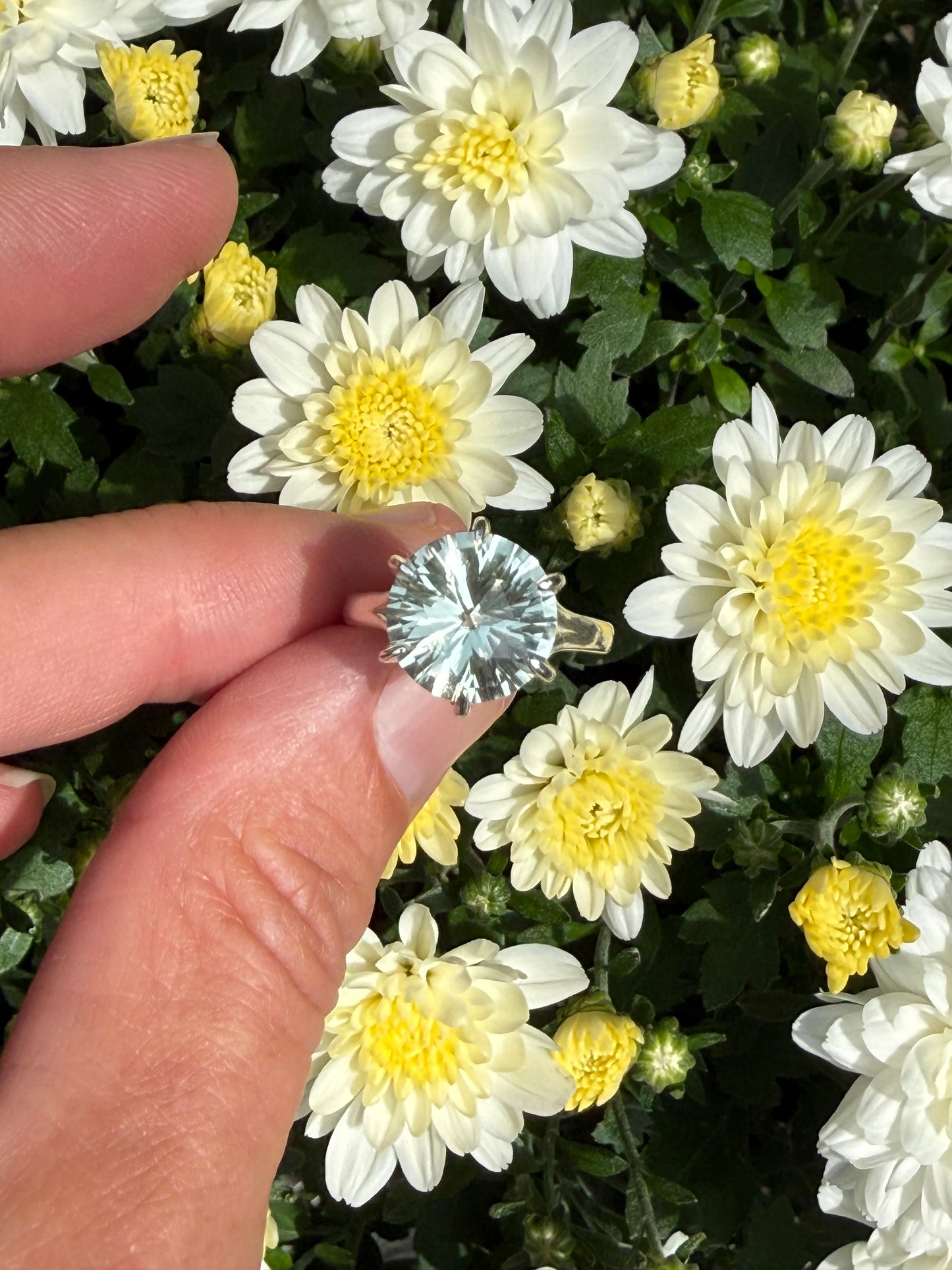 A hand holding a silver ring with a round, faceted light green gemstone, set against a background of white and yellow chrysanthemums.