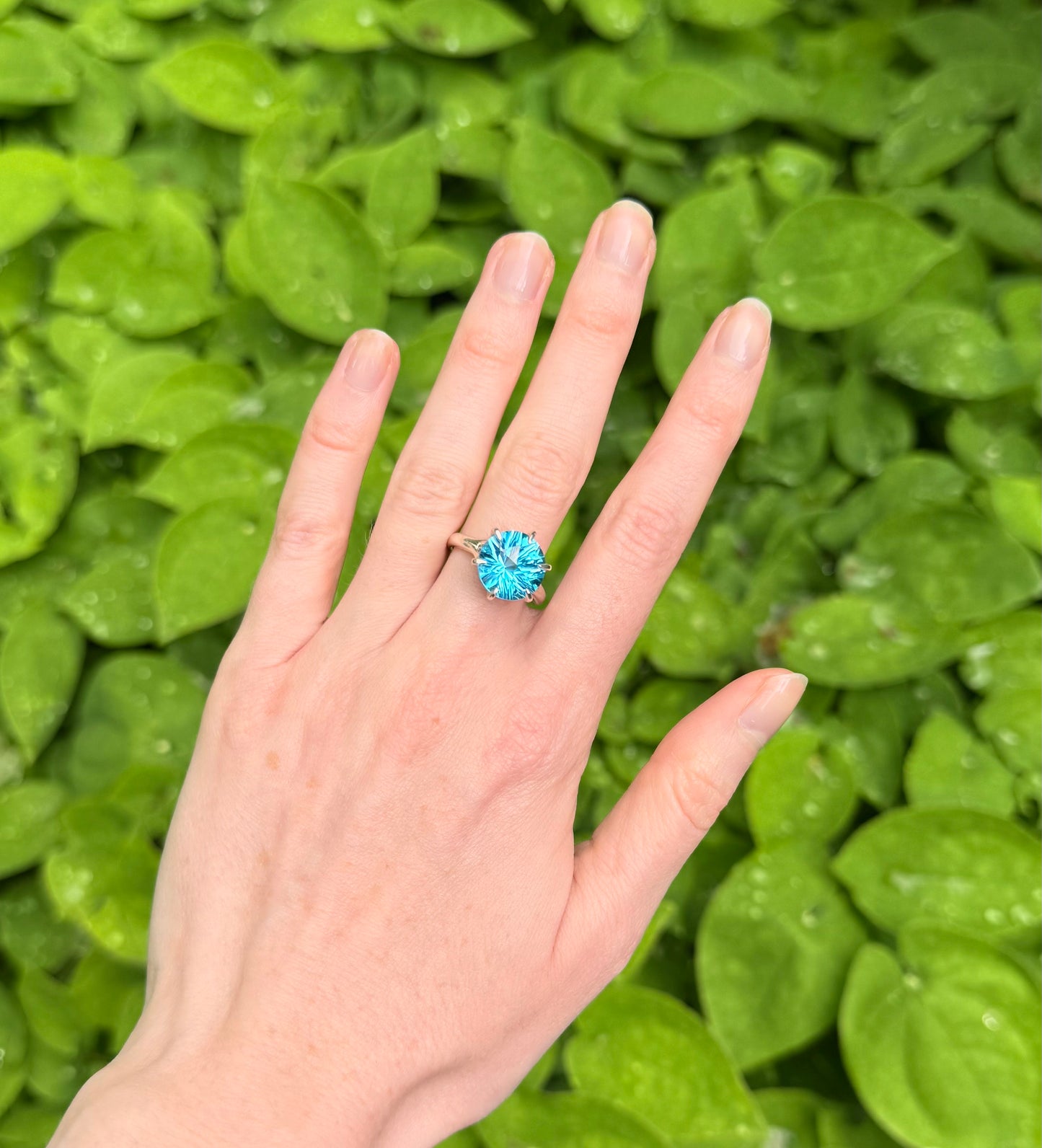 Hand wearing a blue ring with a green leafy background