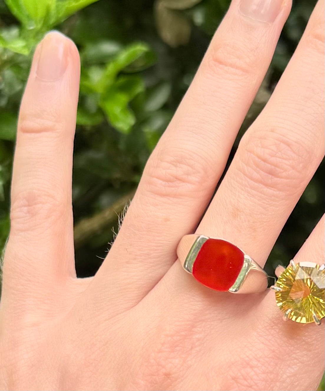 Hand wearing a red stone ring with a silver band against a blurred green background