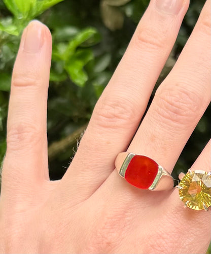 Hand wearing a red stone ring with a silver band against a blurred green background