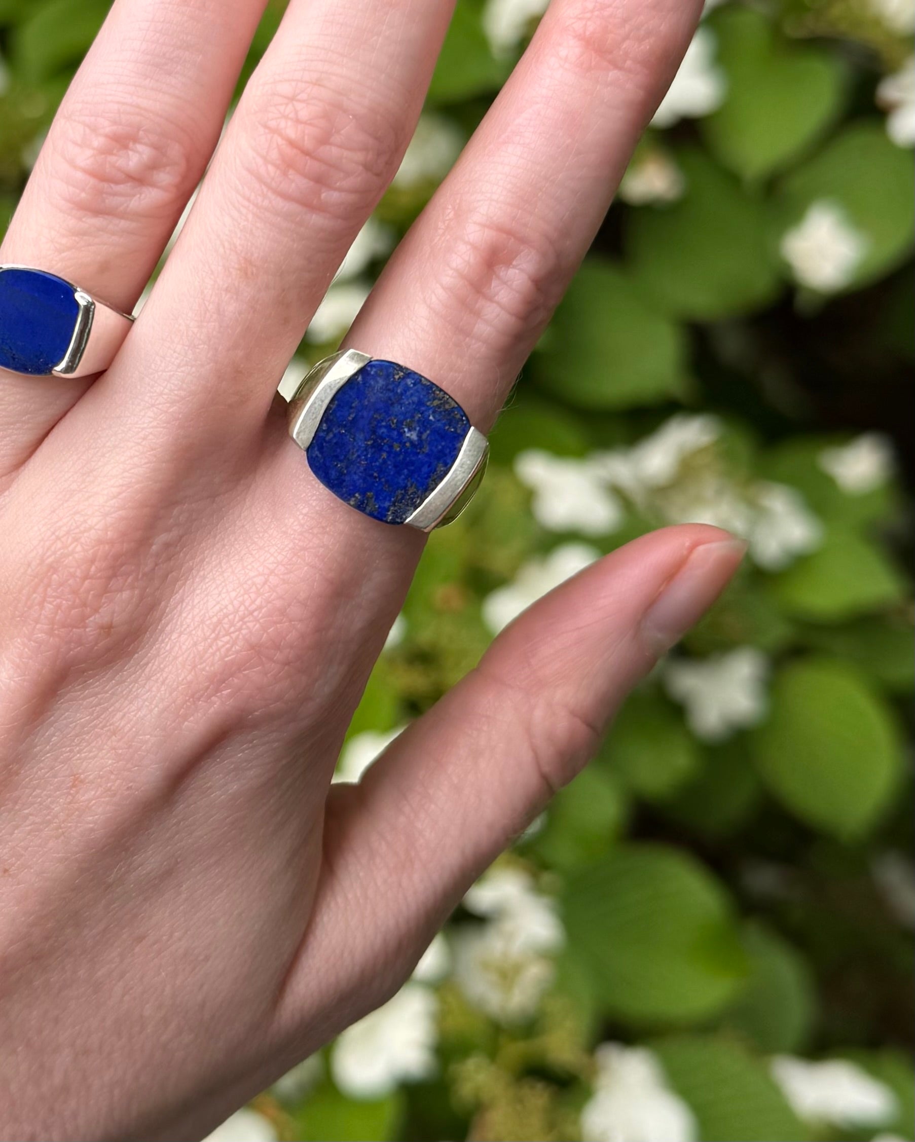 Hand wearing a silver ring with a blue stone against a green leafy background