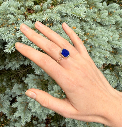 Hand wearing a blue ring with a green leafy background