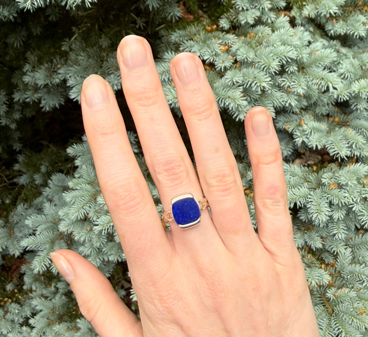 Hand wearing a blue ring with a silver band against an evergreen foliage background