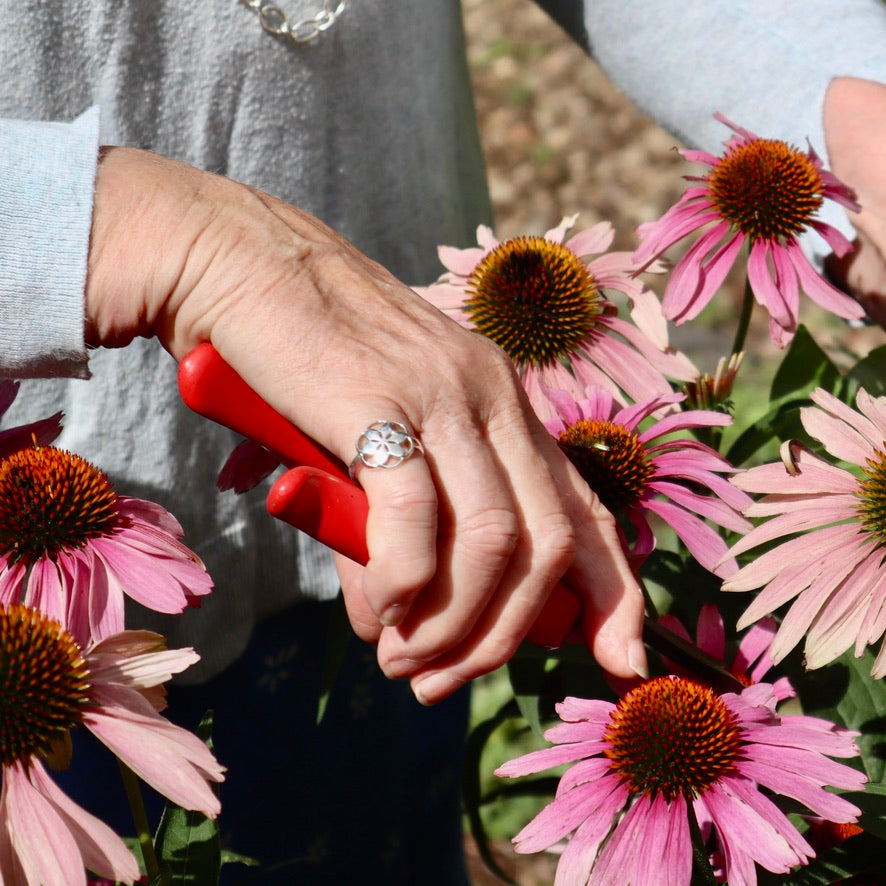 Rosette Ring on pinky by Hannah Daye