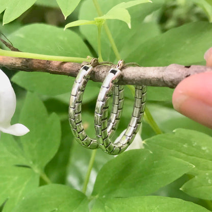 Venetian Oval Hoops