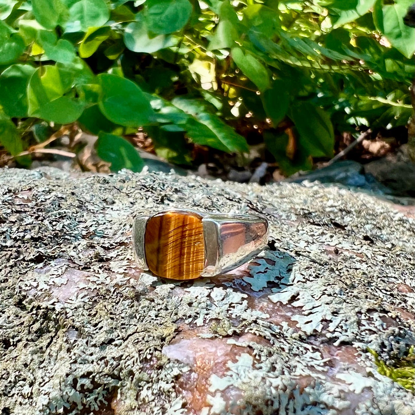 Milan Ring Tiger Eye by Hannah Daye & Co