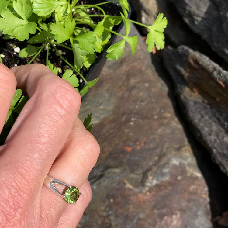 Brillante Ring in Peridot on hand with parsley Hannah Daye & Co